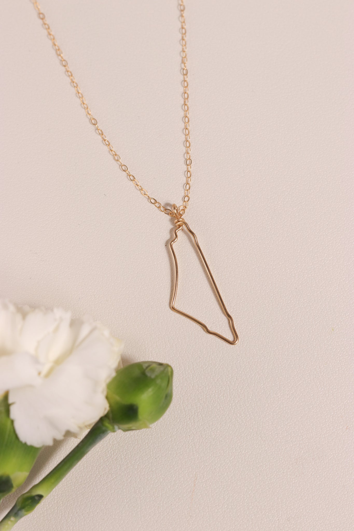 Map of Palestine Necklace