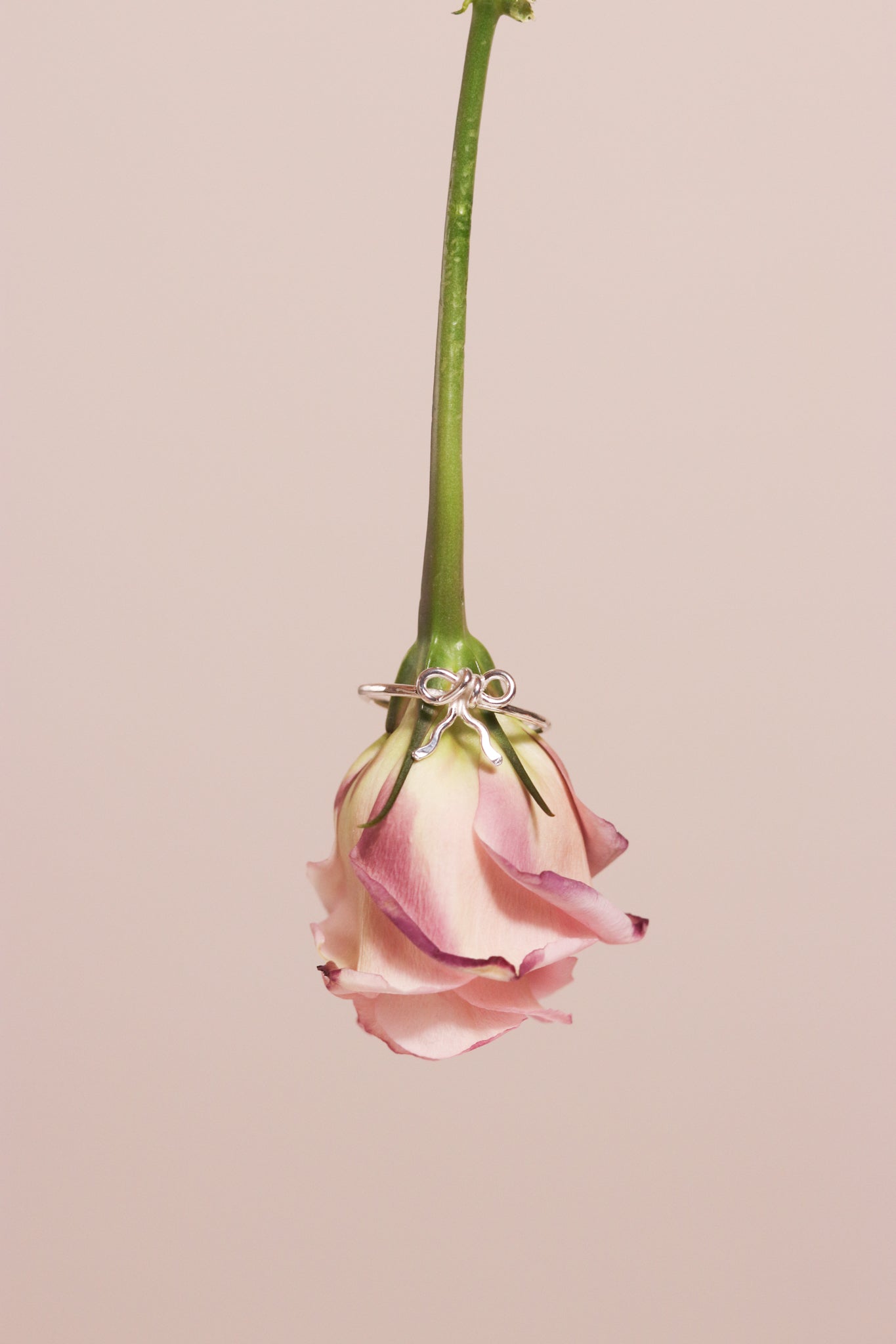 Bow Ring