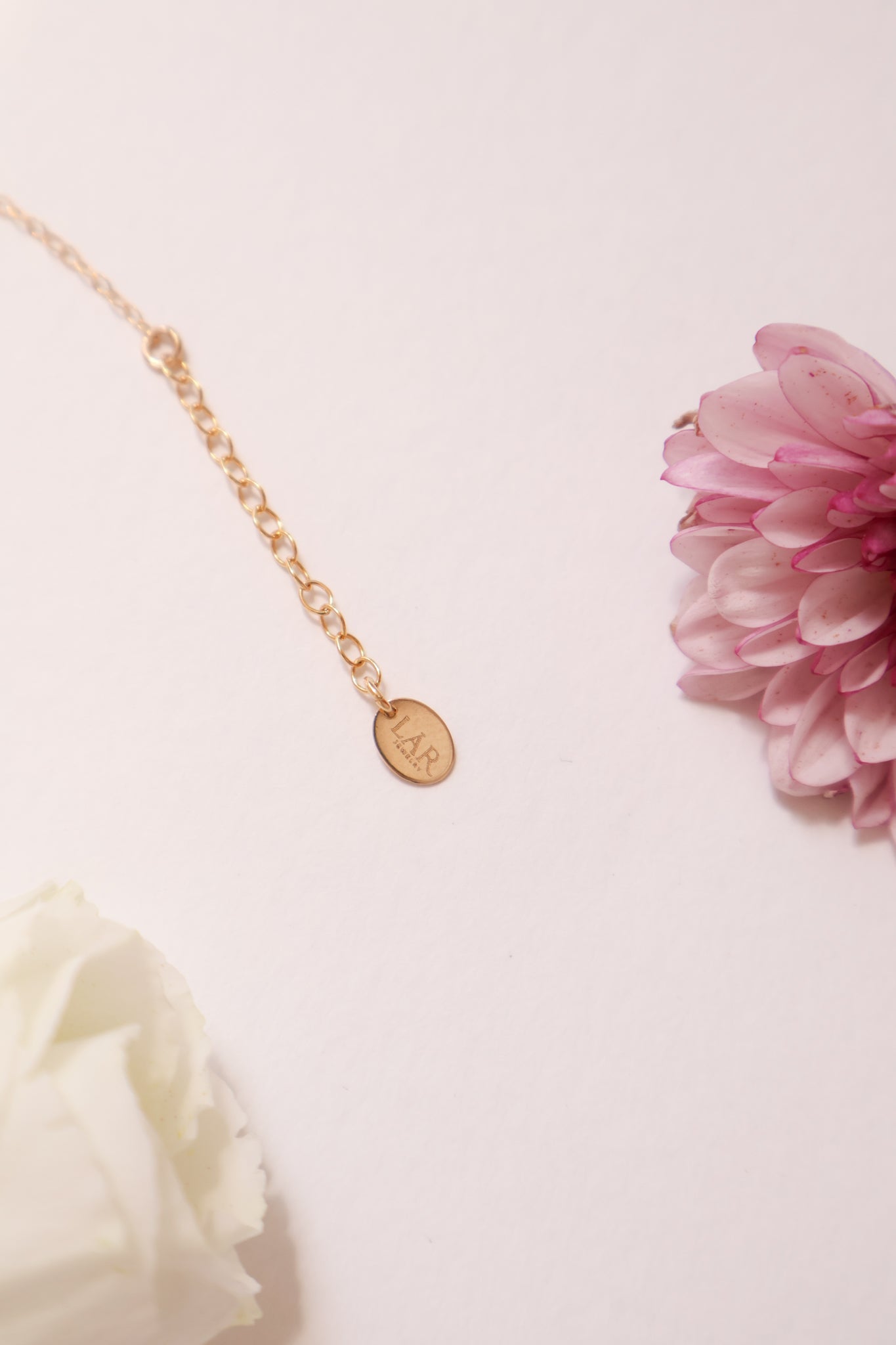 Seashell Necklace